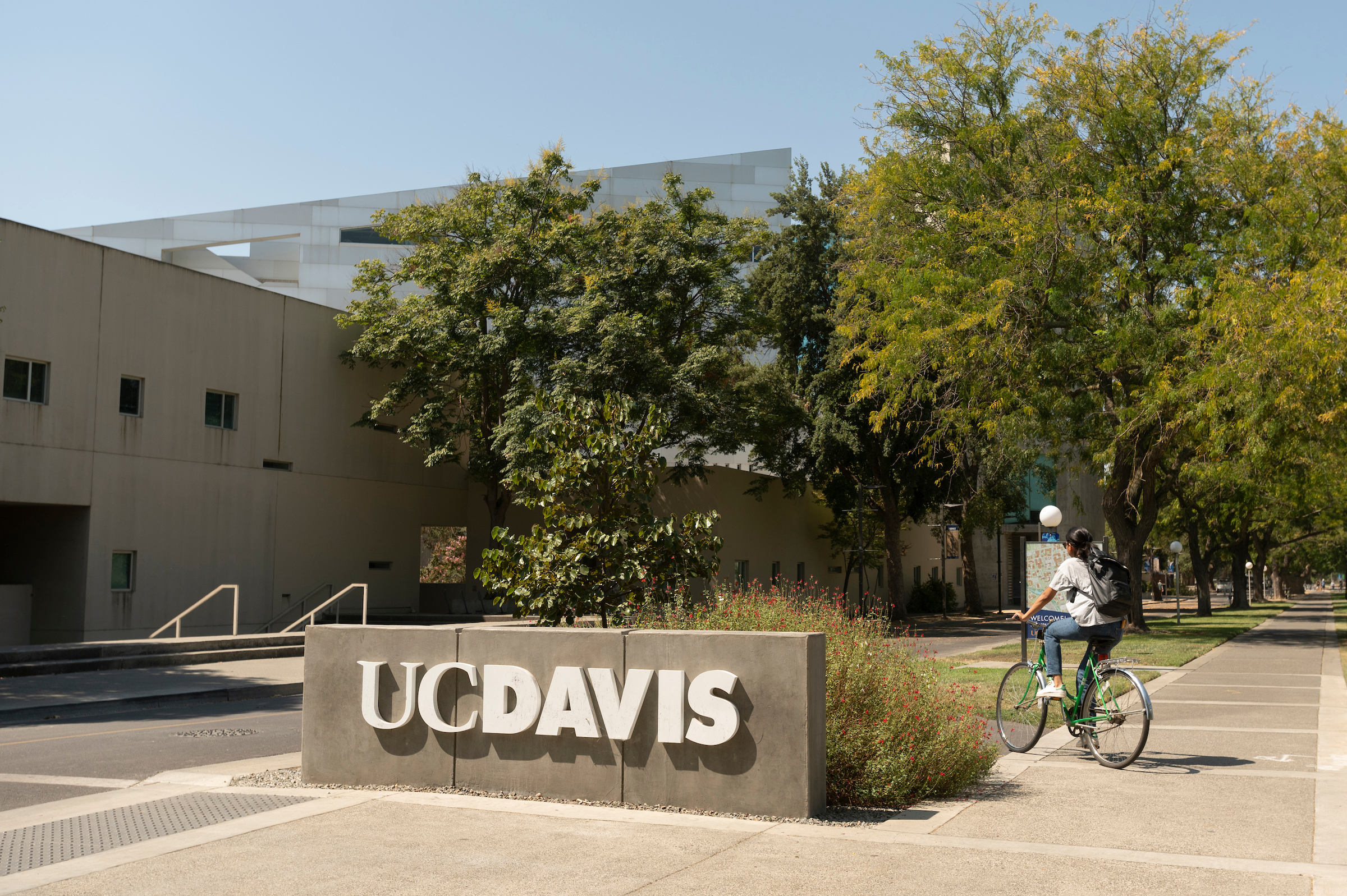 Concrete UC Davis sign in the west entry to campus