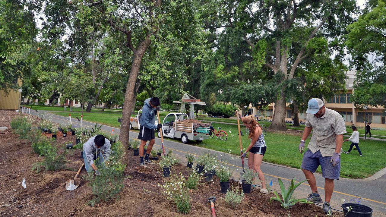 Photo of Learning by Leading interns converting a campus landscape.