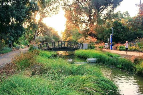 Waterways project 1