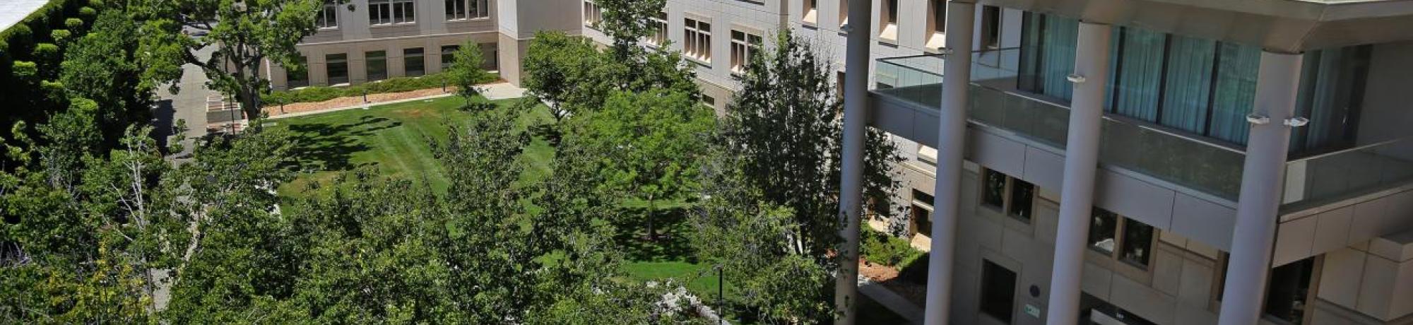 plant and environmental