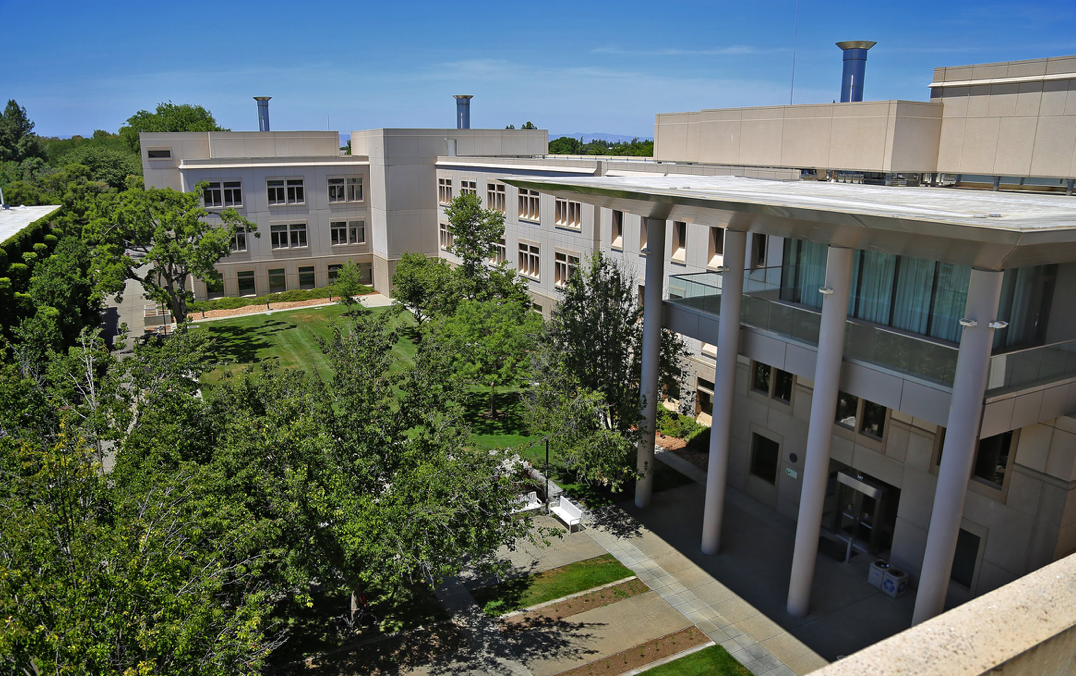 Plant & Environmental Sciences