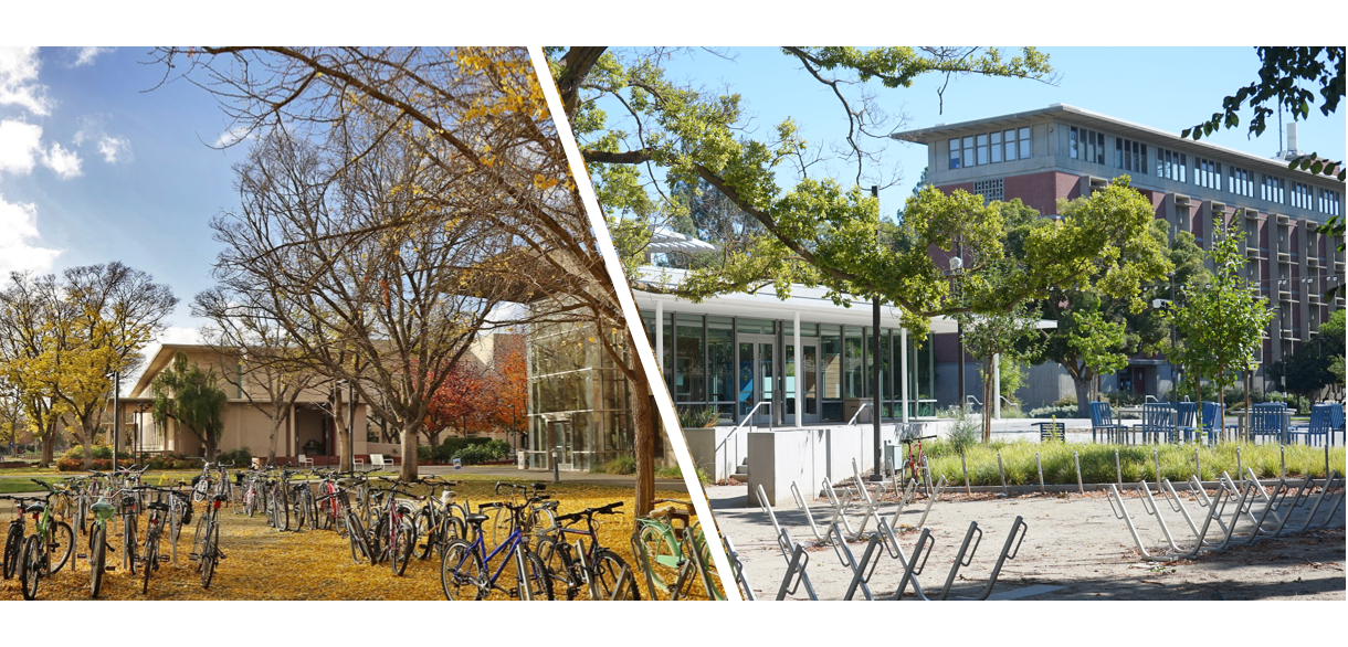 Full bike racks vs. Empty bike racks