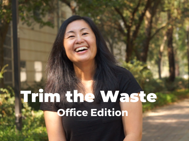 Trim the Waste Office Edition Link