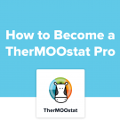 thermoostat-pro